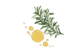 Apple Cider Vinegar and Rosemary