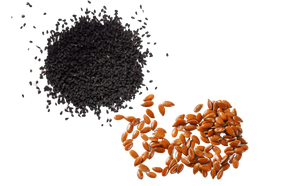 Black Seed and Flax Oil