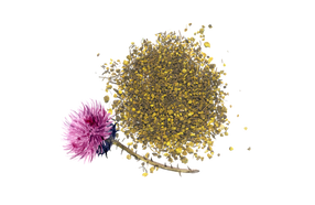 Milk Thistle and Goldenseal